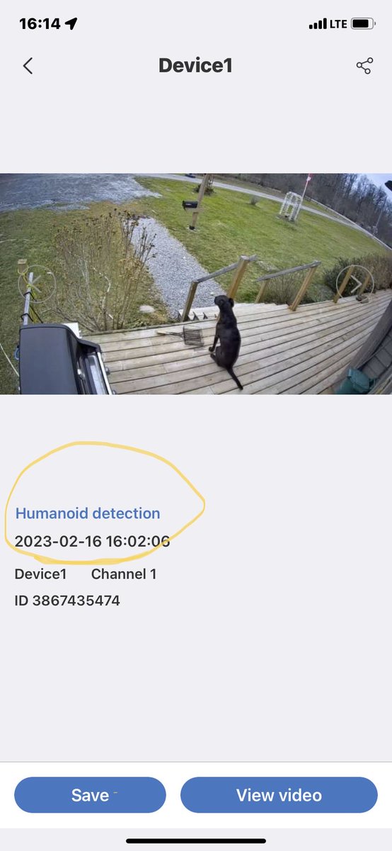 dhcmca's tweet photo. Home security watching the Home security!   What?! Jack is a “Humanoid” now? https://t.co/OKtUzL88Kk