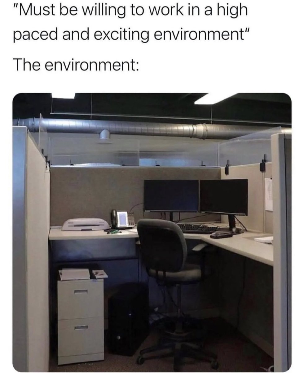 S•Dan tweet media