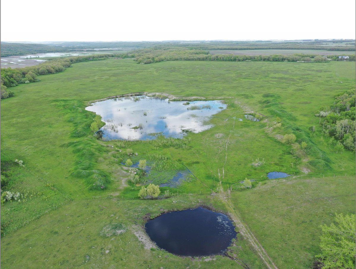 CalMckayConstructionLtd tweet media