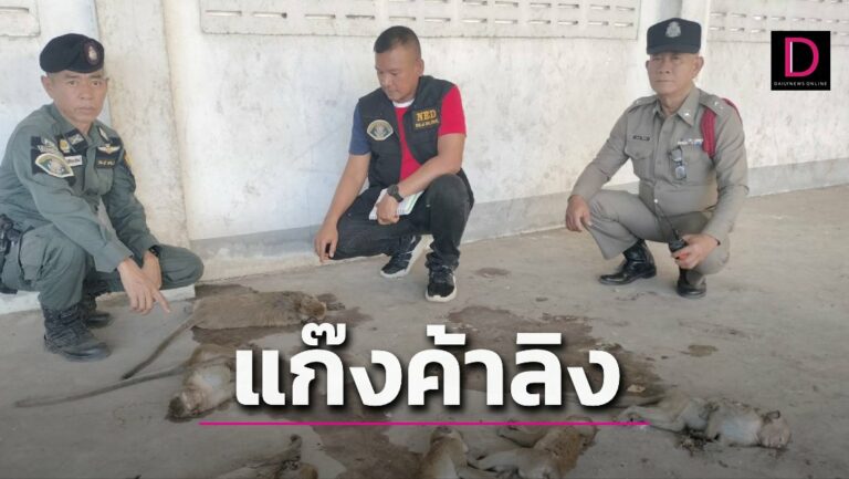 ASEANNOWTH's tweet photo. Monkey Business! Police arrest gang selling Thai monkeys abroad for medical research - 100K each ➡️ https://t.co/C6u2e3fbG8
#MonkeyBusiness #ThaiMonkeys #MedicalResearch #IllegalWildlifeTrade #WildlifeTrafficking https://t.co/x9SJ9KwuuF
