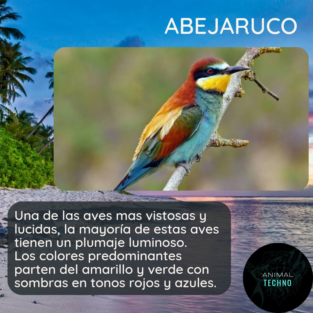 Omega_technOo's tweet photo. #animaltechno #animalplanet #wildlife #animals #nature #animal #wildlifephotography #naturephotography #animalphotography #natgeo #animallovers #natgeowild #photography #bbcearth #animalsofinstagram #of #natgeoyourshot #captures #wildlifeplanet #world #wild #animallover #bird https://t.co/FJJIfLbQzt