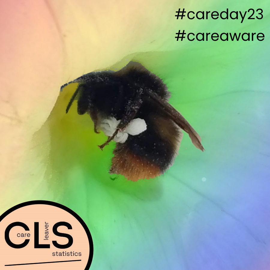 Heute ist #Careday23. Ein internationaler Tag, um Awareness für junge Menschen im Hilfesystem zu schaffen und ihre Geschichten zu teilen (und zu feiern). Happy CareDay to you 🙂 #CareAware #LeavingCare #CareLeaver #Community #CommunityBuilding #CLS_Studie