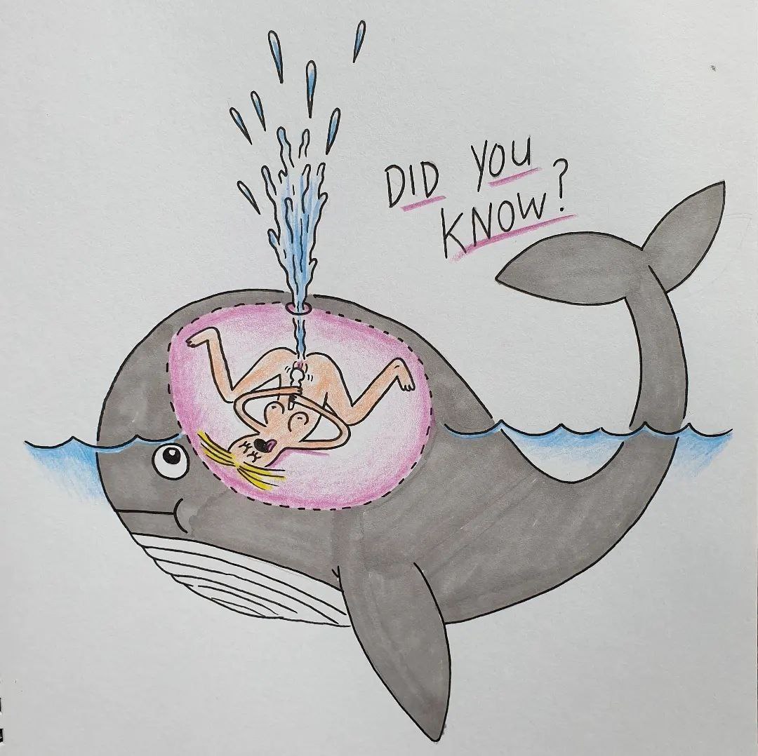 NSFW Whale