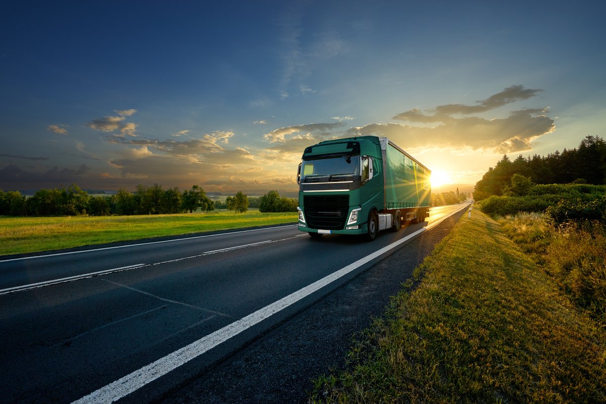 Did you know CS Ellis logistics is a shareholding member of @Palletline