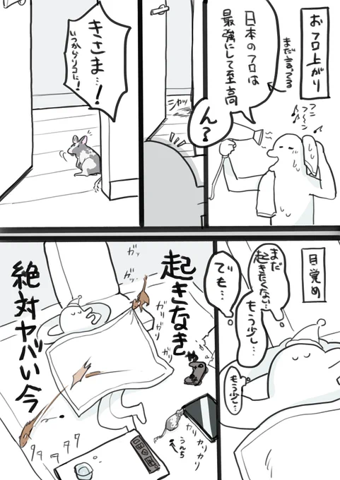脱走のプロです。油断も隙もない #デグー 