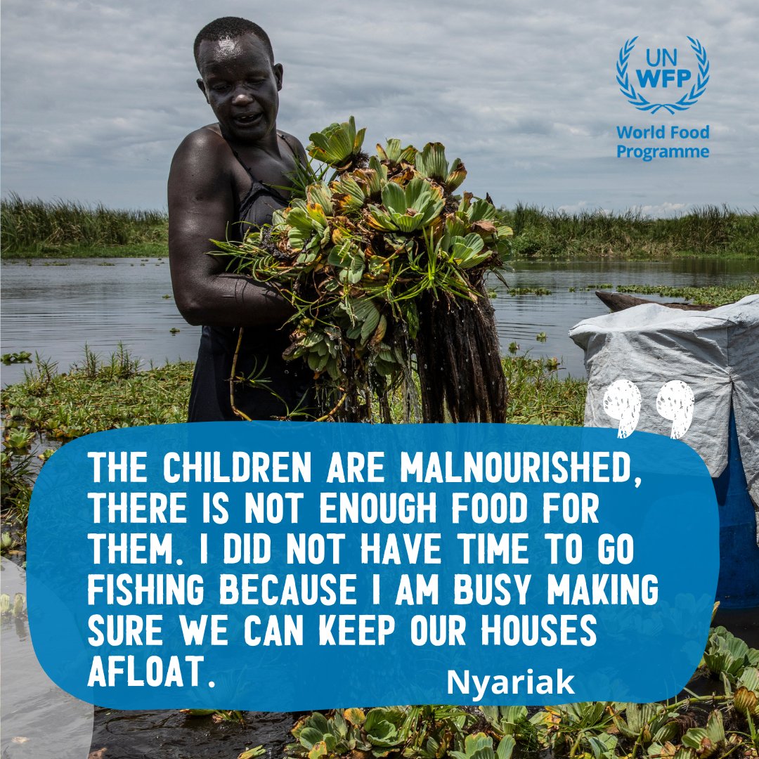 WFP_SouthSudan's tweet photo. Climate shocks, conflict, and rising food prices have left two-thirds of the South Sudanese population without enough to eat. New funding from @USAIDSavesLives will help us reach 2.2 million of the most severely hungry people with food and nutrition assistance through 2023 👇🏿 https://t.co/cZUtzjlCEj