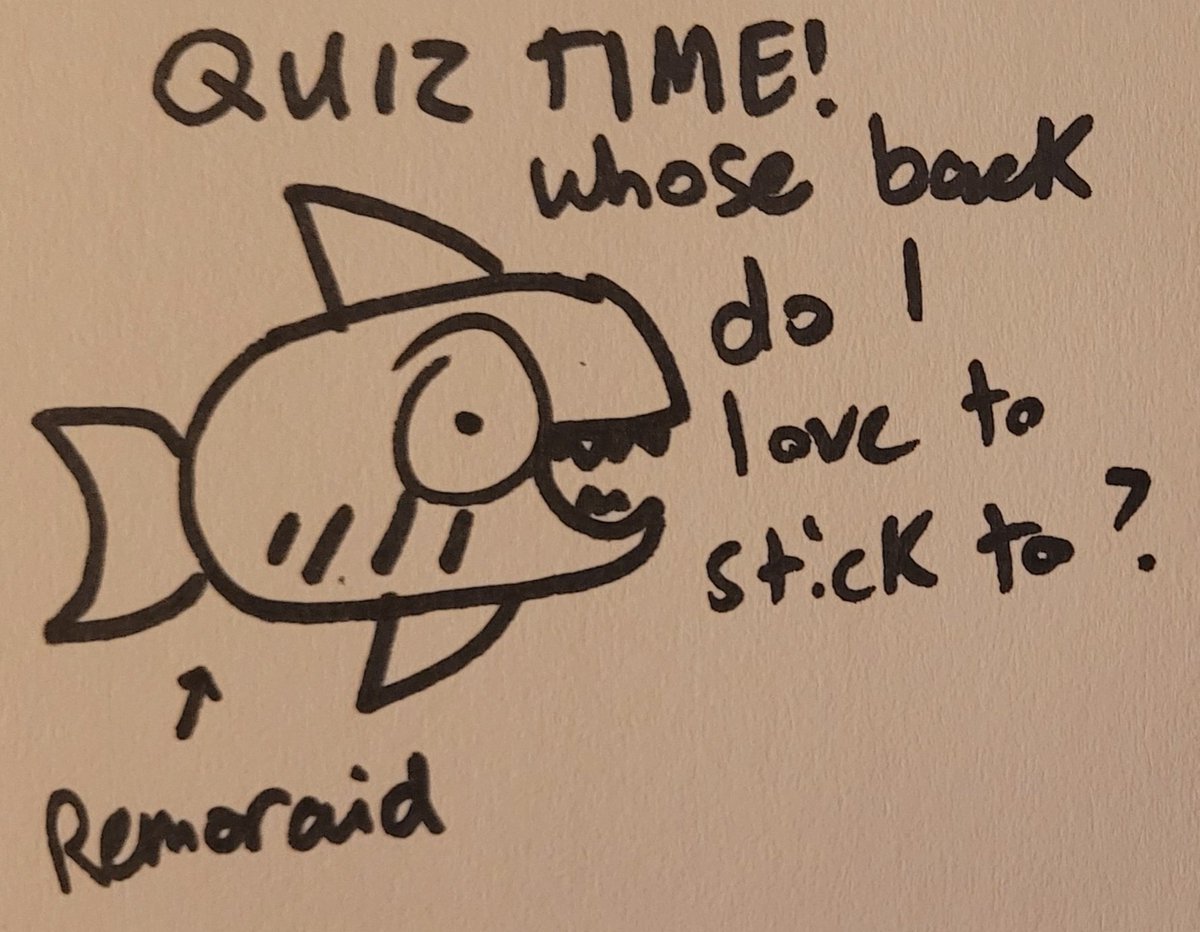 BeauxDoodles's tweet photo. I'm playing #pokemonchannel and I'm bad at drawing #pokemon and NO ONE CAN STOP ME https://t.co/KLgq6Lkvef