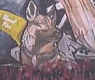 RobiWanKenobi3's tweet photo. Bei der gestrigen Choreo haben die Fans von #Trabzonspor auch einem ganz besonderen Helden gedenkt. #Proteo, der Rettungshund aus #Mexico verstarb nach der Rettung von 2 Menschen plötzlich und unerwartet. 👏👏👏😢
#rotblaulive #fcbasel #tsfcb https://t.co/xLBHvx6czu