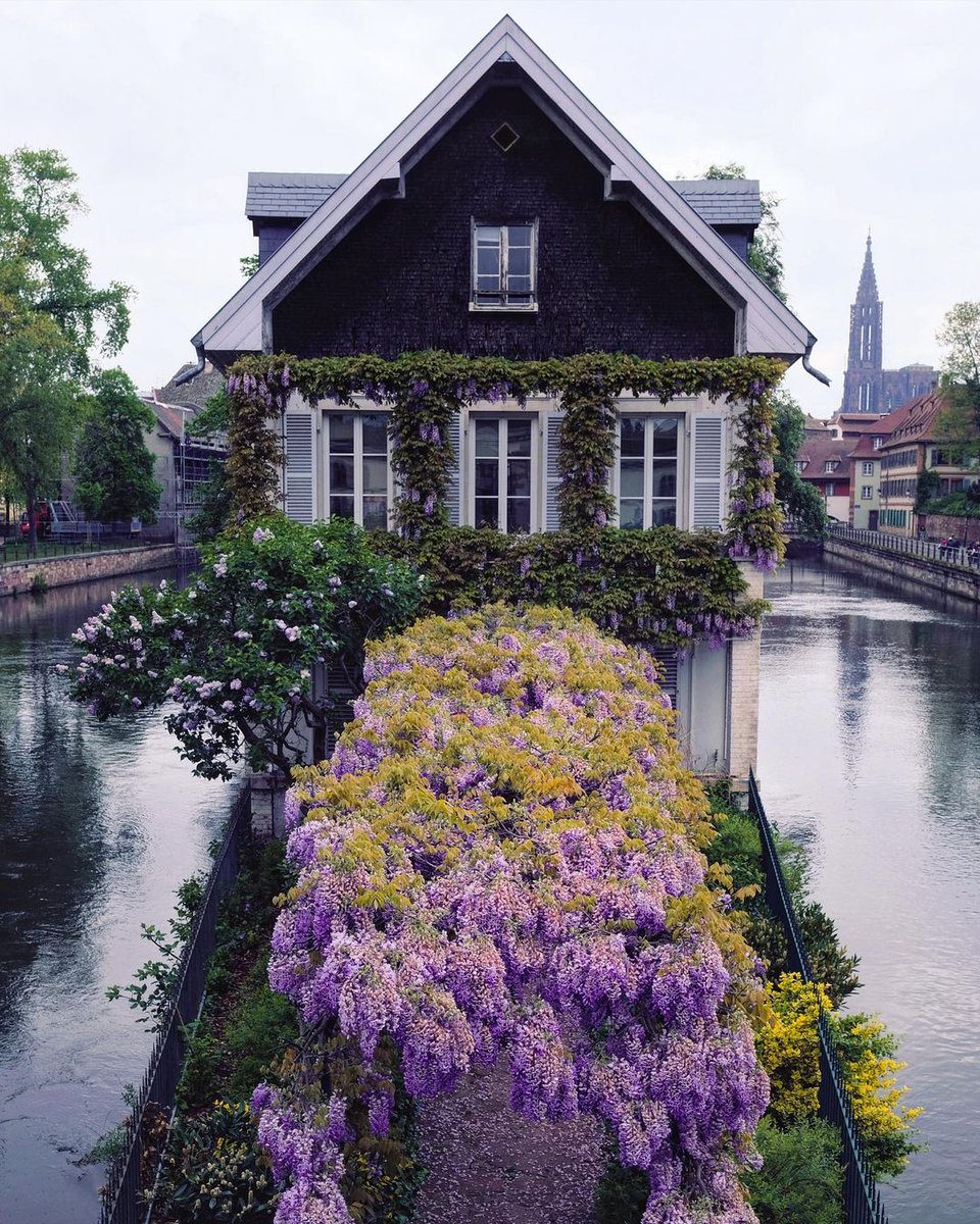 What do you buy way more of than most people? ❤️

We are all like the bright Moon; we still have our darker side! 🌟

#NFT #nftcollectors #nftphotographer

Artist:
 📸punkodelish👇