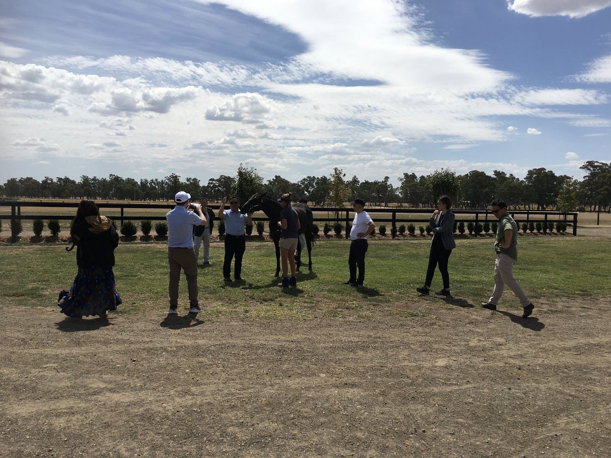 Shadow Hill Th'breds tweet media