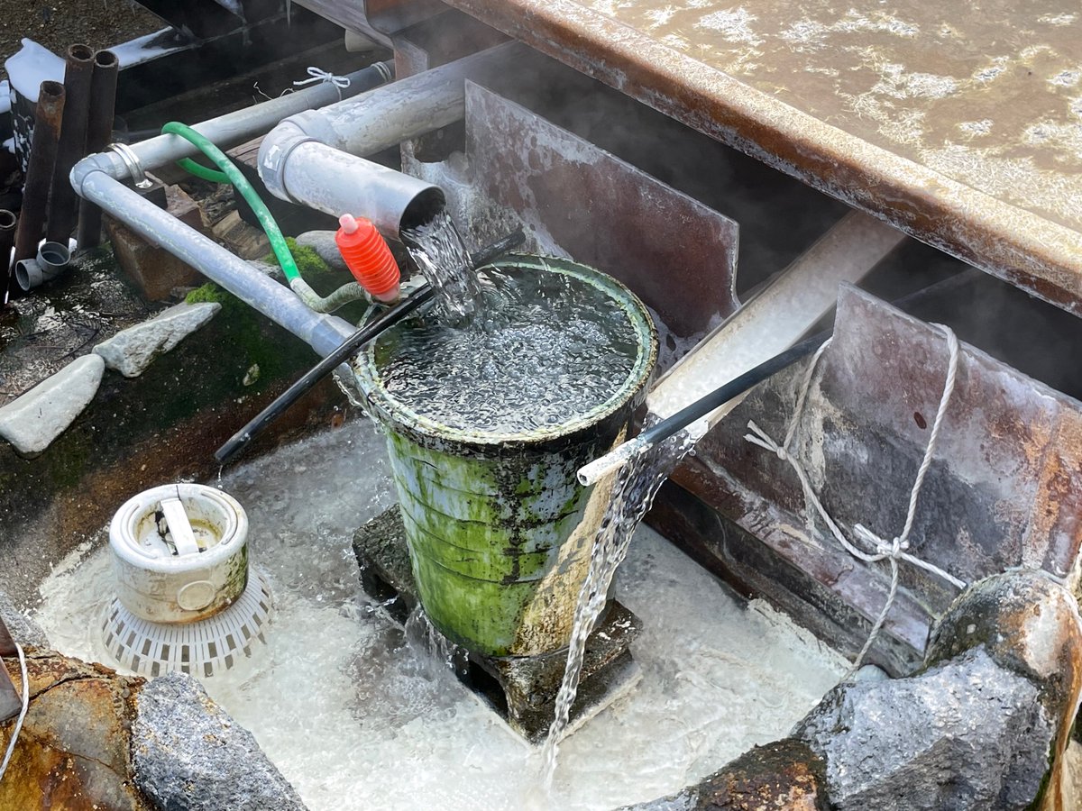 のらぽ🐣🐟 on Twitter 