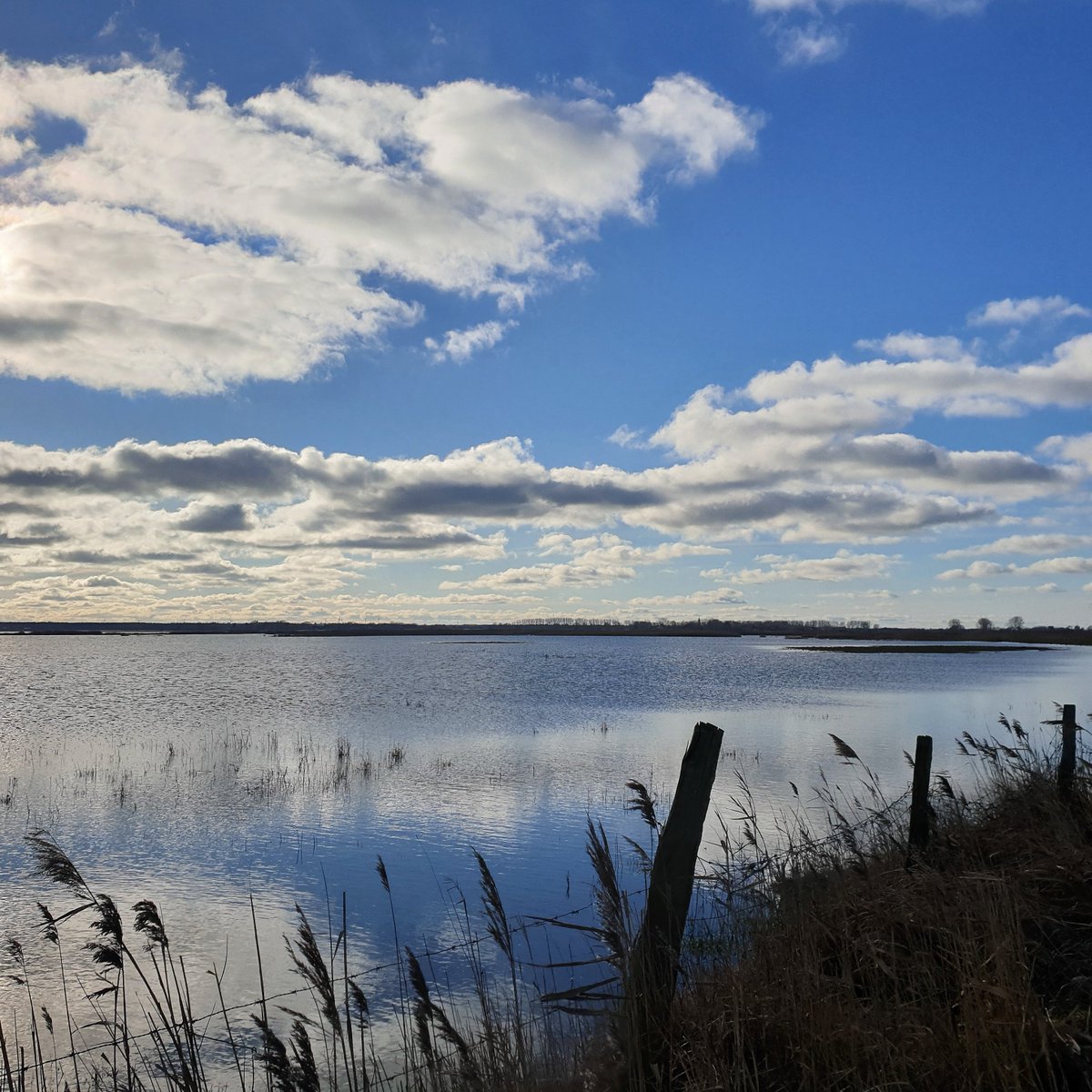 succow_stiftung's tweet photo. Auf der #InselKoos & in den #KarrendorferWiesen sind die Bufdis tatkräftig: Es wird gesenst & gesägt, Stürme bringen Hochwasser & der Frühling das erste #Kranich-Paar & Blüten. Mehr auf dem Blog oder kommt doch gleich zur nächsten Exkursion am 25. Februar? https://t.co/n0H76Qj4u7 https://t.co/dsIlHmRTVC