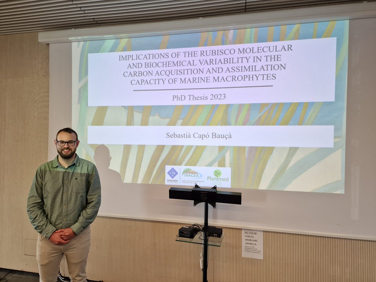 PlantMedUIB's tweet photo. A punt de començar la defensa de la tesi doctoral de Sebastià Capó que duu per títol "Implications of the Rubisco molecular and biochemical variability in the carbon acquisition and assimilation capacity of marine macrophytes", dirigida per @jeronigalmes i Concepción Iñiguez. https://t.co/8WSntSskXT