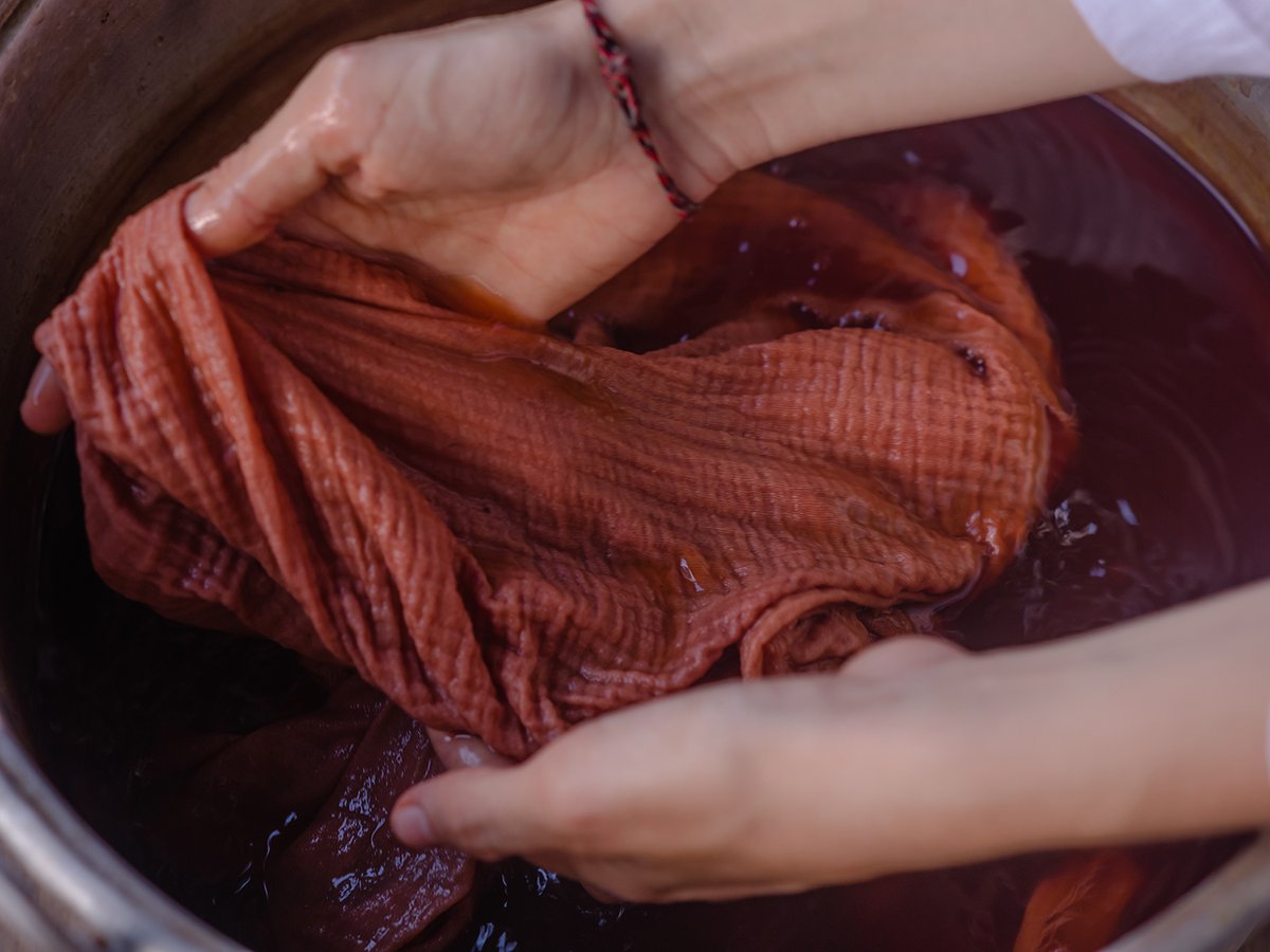 Tonello and WTS have developed Wake: the first all-#NaturalDyeing system patented by @tonellosrl

The companies say the goal is to bring Peruvian dyeing tradition into the future of fashion and help small communities in the Amazon

Read more here:
bit.ly/3k1Ueks