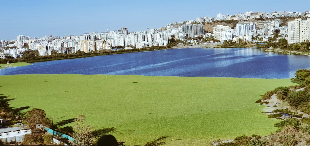 VickrantSiingh's tweet photo. @PMCPune @supriya_sule @CMOMaharashtra @Dev_Fadnavis @DrKhemnar Our lake is dying and government is watching it happen . Only lies and bad practices are going on , every year @PMCPune spent 50 lakh to clean this but not starting drainage system Such a slow work ,our group has cleaned this lake so many time not let it die #savejambhulwadilake https://t.co/Agm37onQvZ
