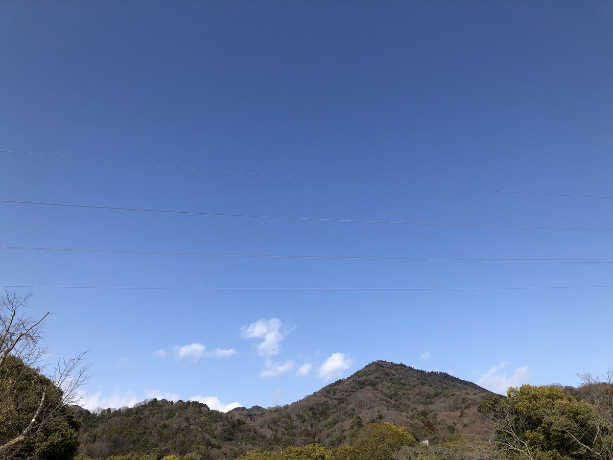 さきさき tweet media