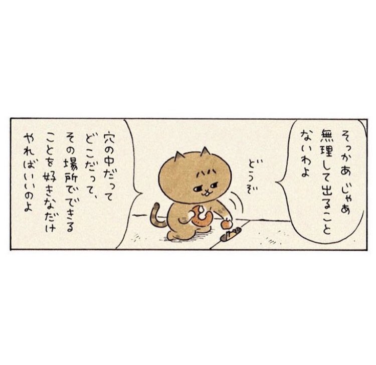 側溝に住んでるハム松くん。
#ミィちゃんは今日もがんばらない 