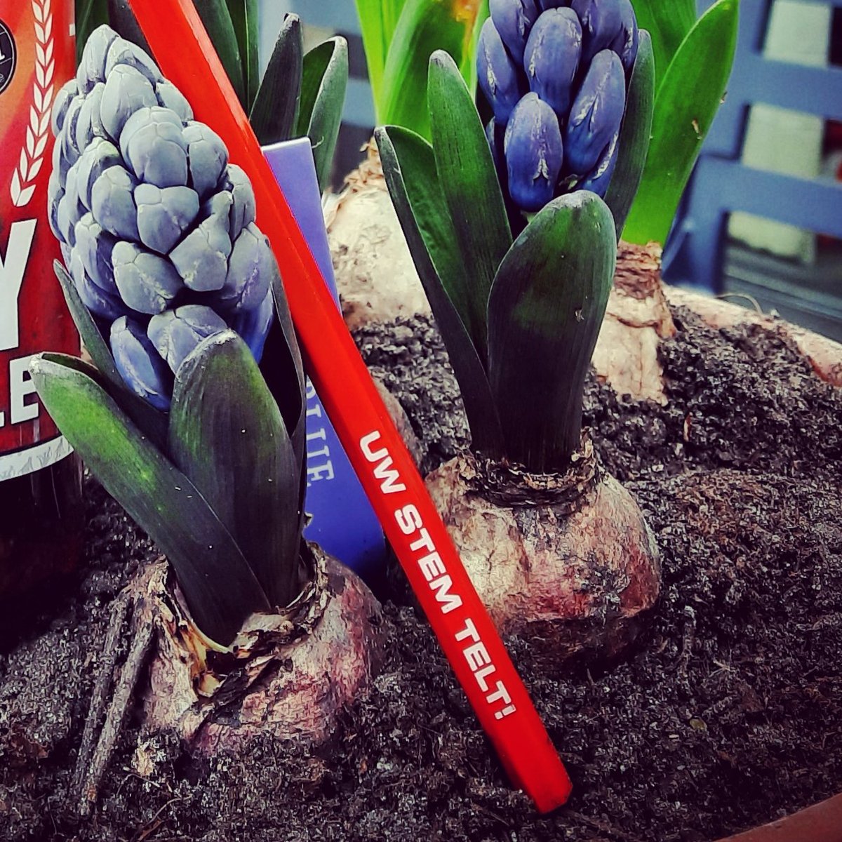 Anneke in Almere tweet media