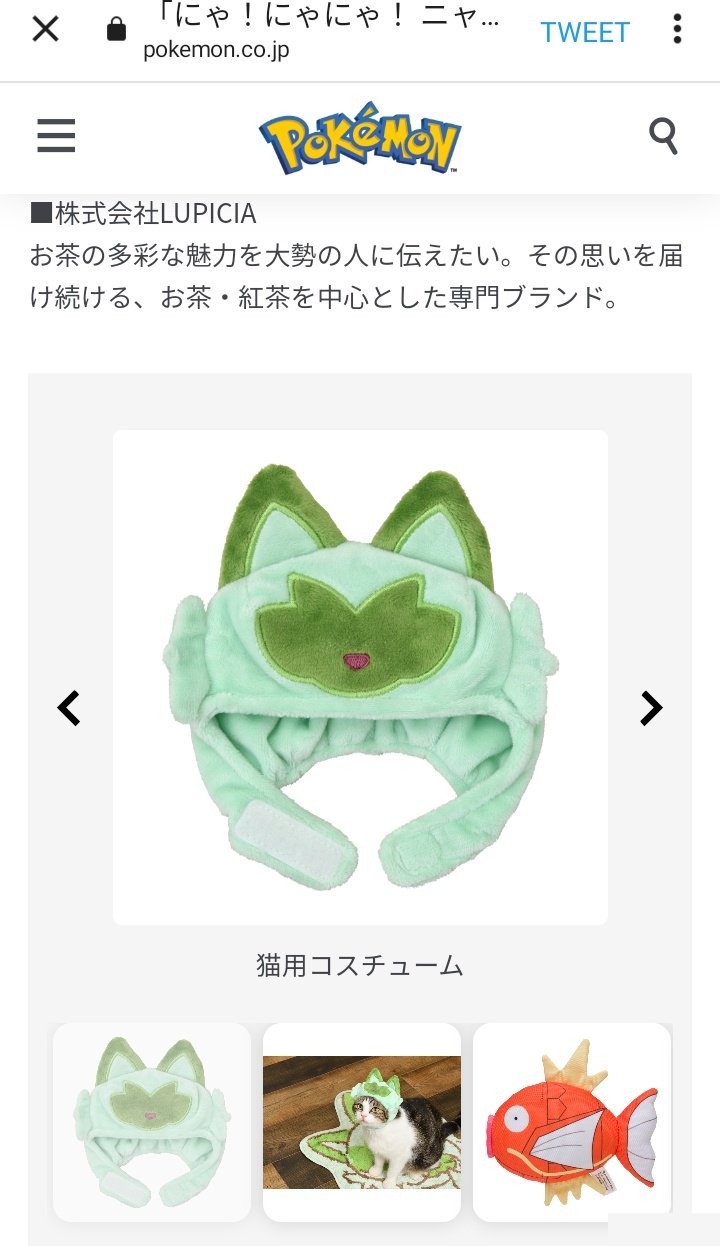 Amazon.co.jp: ポケモンセンターオリジナル 猫用コスチューム