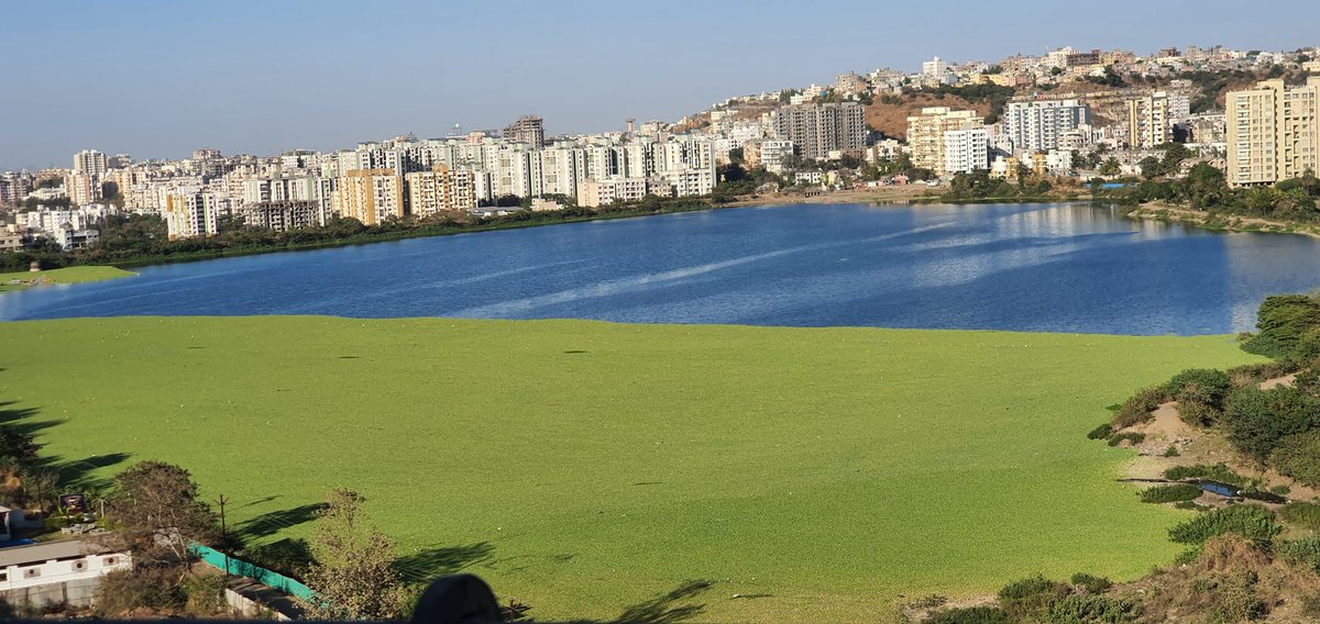 VickrantSiingh's tweet photo. @PMCPune @supriya_sule @CMOMaharashtra @Dev_Fadnavis @DrKhemnar @supriya_sule maam thanx for your efforts , but it is really necessary to give you real ground reports . I am @PMCPune brand ambassador of this area and have been actively working on this lake . Maam thanx to your efforts last time we met khemnar sir ,maam you are our hope https://t.co/NU53wVFMZZ