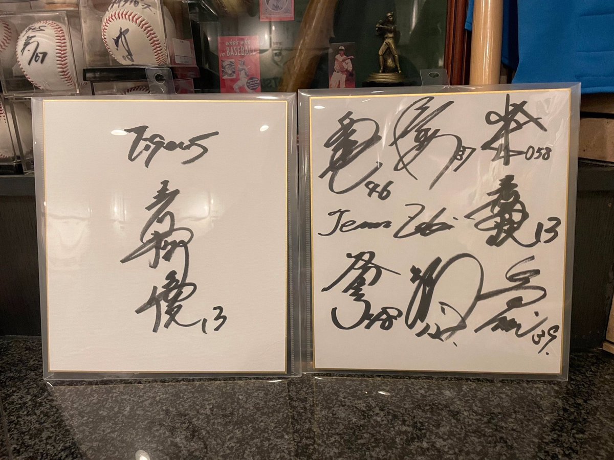 阪神タイガースの岩崎優投手の自主トレチーム、「TEAM ZAKI」の