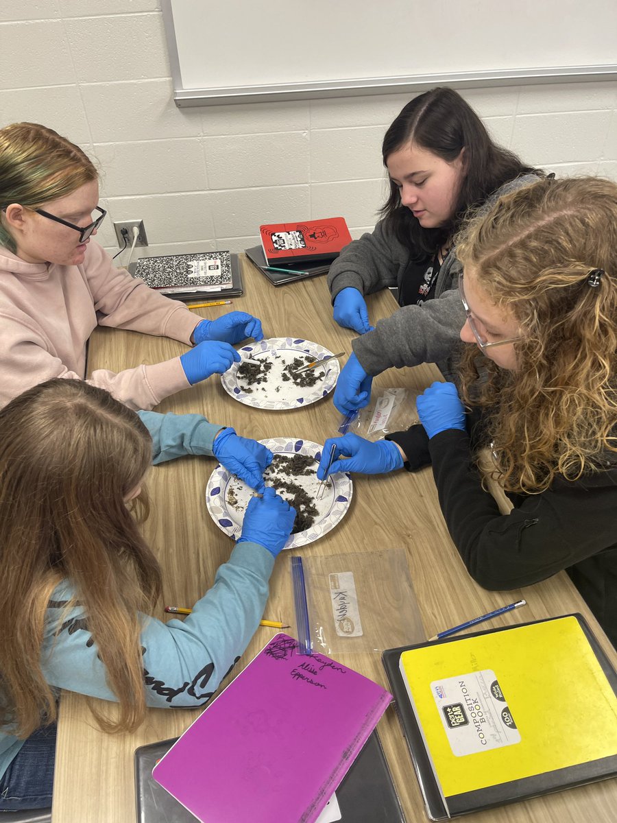 AmberHi18038779's tweet photo. 7th graders dissecting owl pellets to determine what the owls ate from the bones in their pellets. #1stPeriod #Exceptional @Winterboro_High @GraysonLawrence https://t.co/L7Hq2a0ZAZ