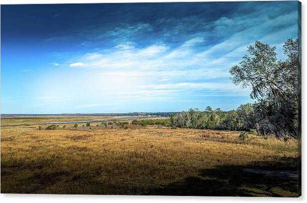 Onlooking Paynes Prairie  Canvas Print / Canvas Art by Debra Forand buff.ly/3XBUhkO  #Floridadestinations #Floridanature #Naturephotography #landscapephotography  #AYearForArt #fineartphotography