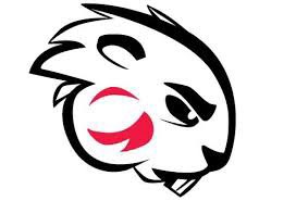 Kameron Hanvey tweet media