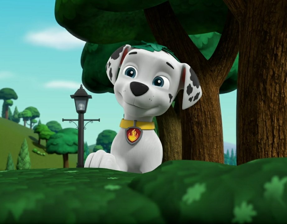 MarshallTheFans's tweet photo. Good morning our squad🐾😍
Marshall loves leaves, though for some reason they are always on his head🤗🍃💗
#PAWPatrol #MarshallPawPatrol #PawPatrolFan #LoveMarshall #leaves #LovePawPatrol #MarshallDalmatian #MarshallCute #PawPatrolTheBest #PawPatrolTeam #MarshallFirePup #Cute https://t.co/WLXZ0Tythh