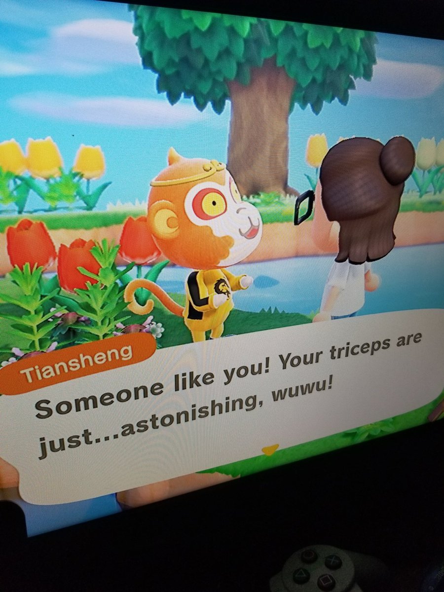 LindaakaTheGam1's tweet photo. Found you finally! #tiansheng #animalcrossing #ACNH #AnimalCrossingNewHorizion https://t.co/7mYRRffz5k