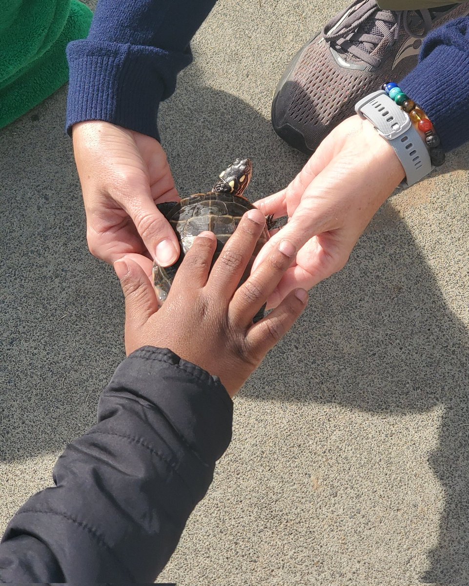 Emily from Raleigh Parks and Rec came to prek and did a program today with us called “Animals in Winter!” We had so much fun learning about what animals do when it’s cold outside.we learned about migration, hibernation, and brumation!
<a href="/WalnutCreekES/">Walnut Creek Elementary School</a> #thecreekisrising