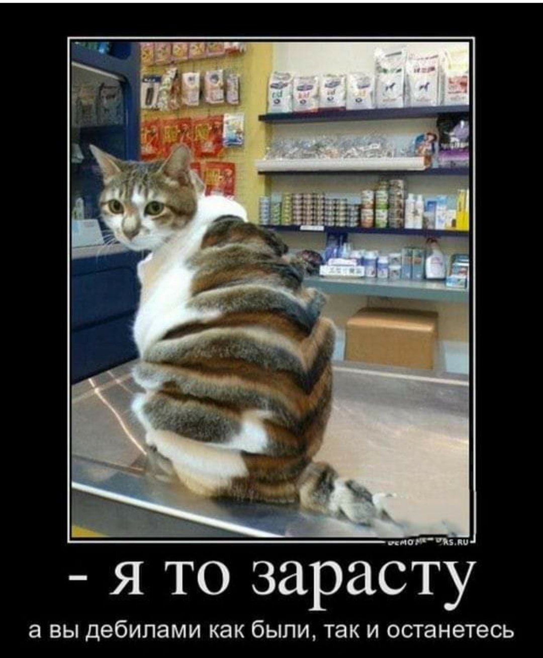 Демотиваторы ржачные до слез