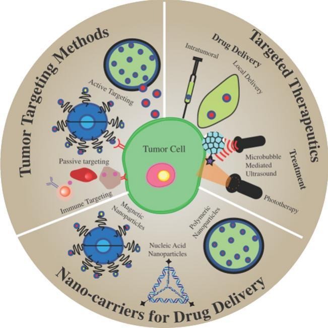 Bionano LabAHG on Twitter "Insight on nano drug delivery systems with