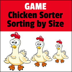 Math_Pyramid's tweet photo. Play our Chicken sorting math game online! https://t.co/s0EwmMpkkR #freesortinggames #freemathgames #bigvssmallmathgames #funmathgames #interactivemathgames #sortingbysizegame https://t.co/yTgyspdIaL