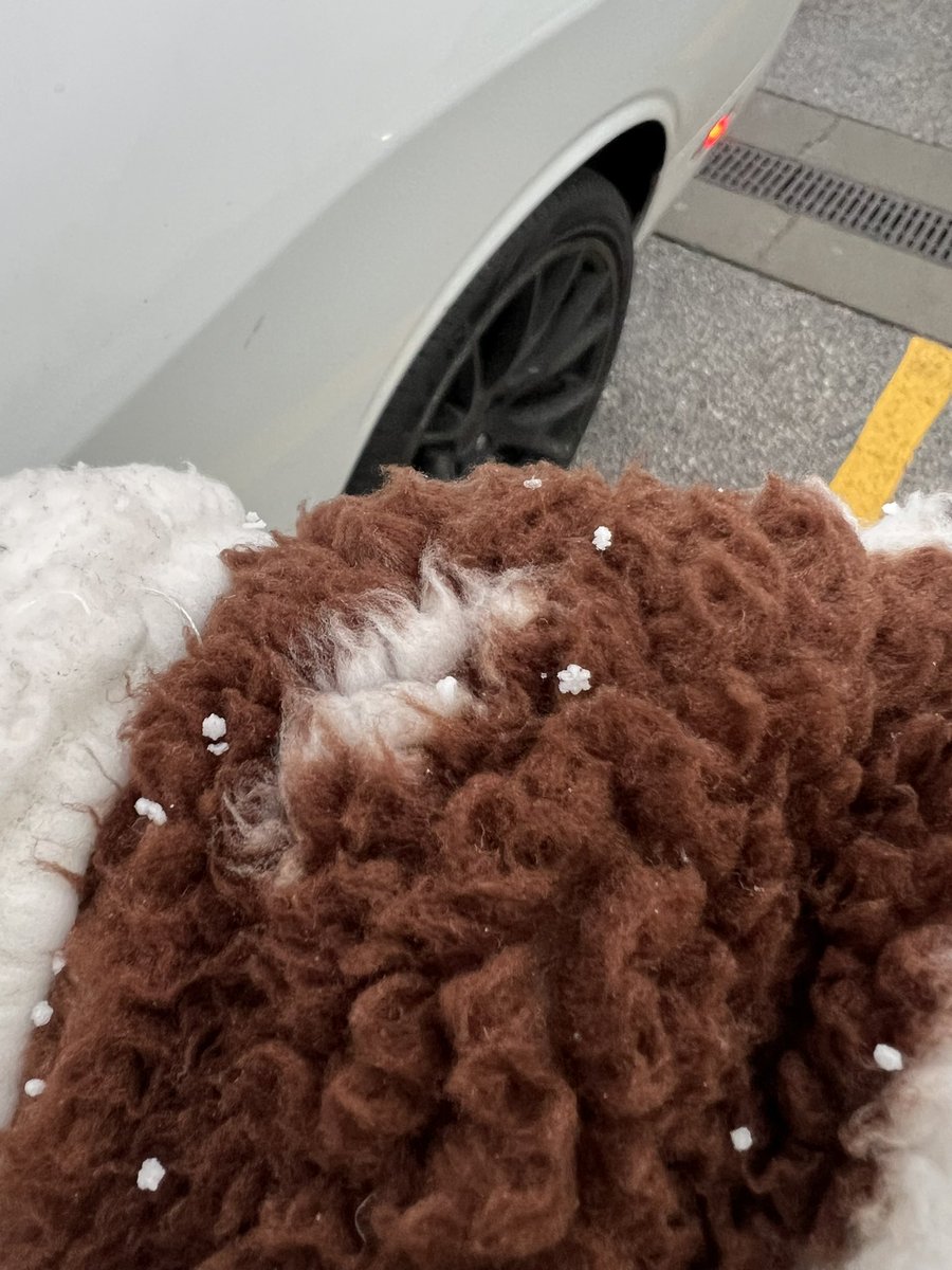 This really comes from the sky.. 🥹🫶🏼 Gods creations are beautiful