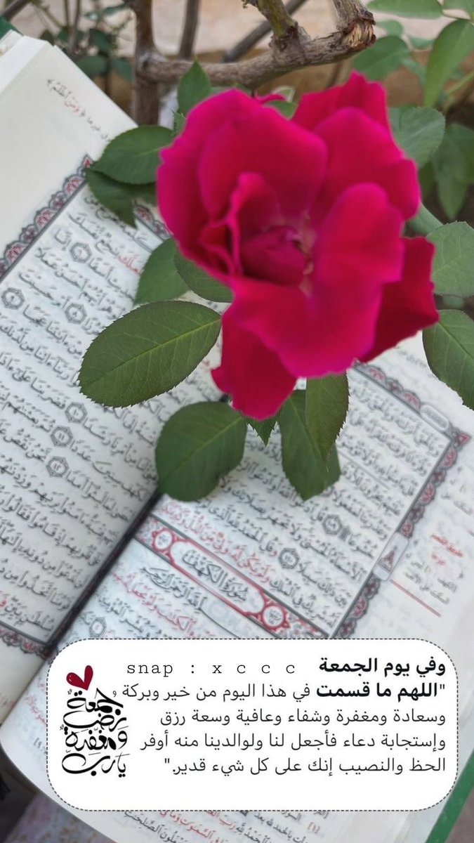 نيرس (@ekfnn1314) on Twitter photo 