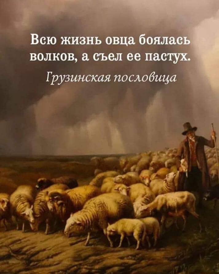 Хонь бүх насаараа л чононоос айдаг хэдий ч эзэн нь л түүнийг иддэг. Гүржийн цэцэн үг.