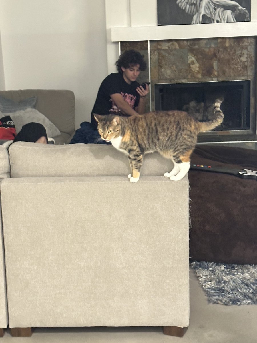 vinniehacker's tweet image. 