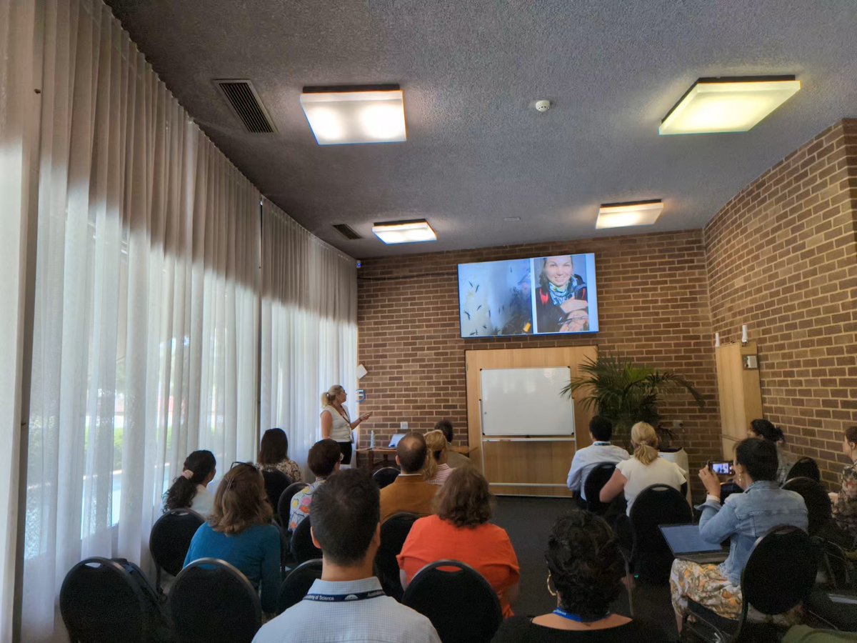 Once-extinct wood feeding cockroaches living under a rock, copulating bird sounds &amp; science happening in real-time during filming a doco - a wild story with @SarahKlistorner @NSWDPE on eradicating rats on Lord Howe Island. #ASC2023
Excited to watch!
vimeo.com/739579902