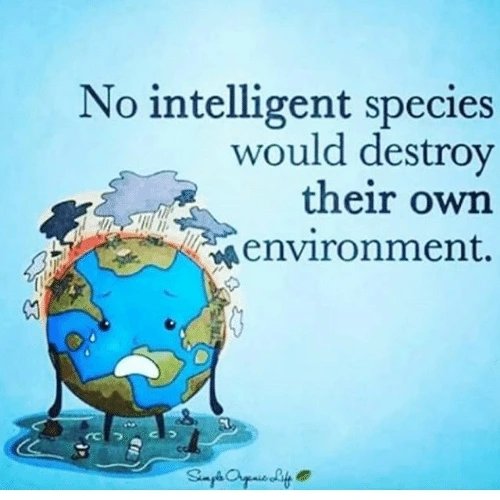 endelstamberg's tweet image. #ClimateStrike Week 177
#FightFor1Point5 Week 113

The truth is, that we are in a climate emergency and we must act now!
❤️☮️🌍🌏🌎🌳🌱🌿🌺🌼🏵️🌻🌞🦋

#ClimateStrikeOnline #NetzStreikFuersKlima  #FridaysForFuture #ListenToTheScience #EndClimateImperialism #luetzibleibt #twiff