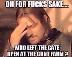 kaydie6's tweet photo. @sportshopsleep @TheDannySmite https://t.co/Lh8OPSud1T