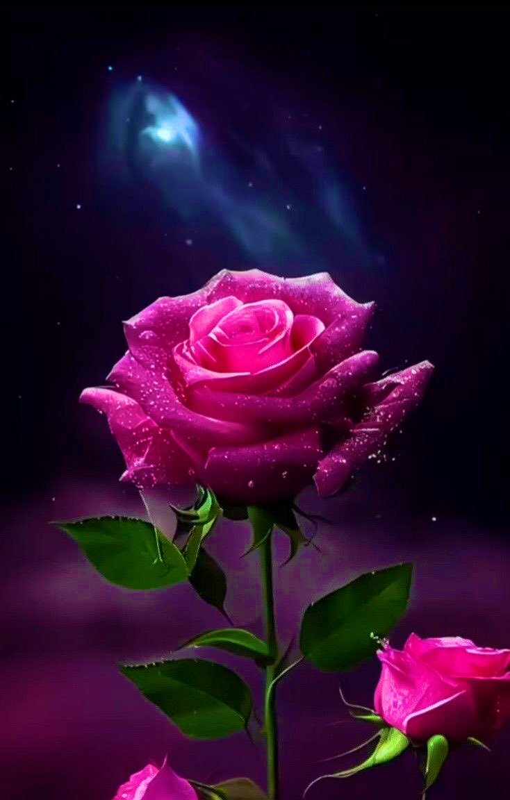 !Binler, binler salât ve binler, binler selâm Senin üzerine olsun ey bütün müttakîlerin Efendisi.                                

HAYIRLI CUMA’LAR