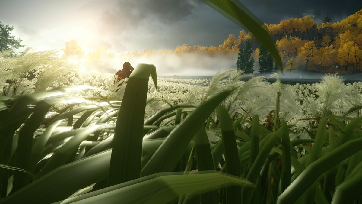 acmemade910 tweet media