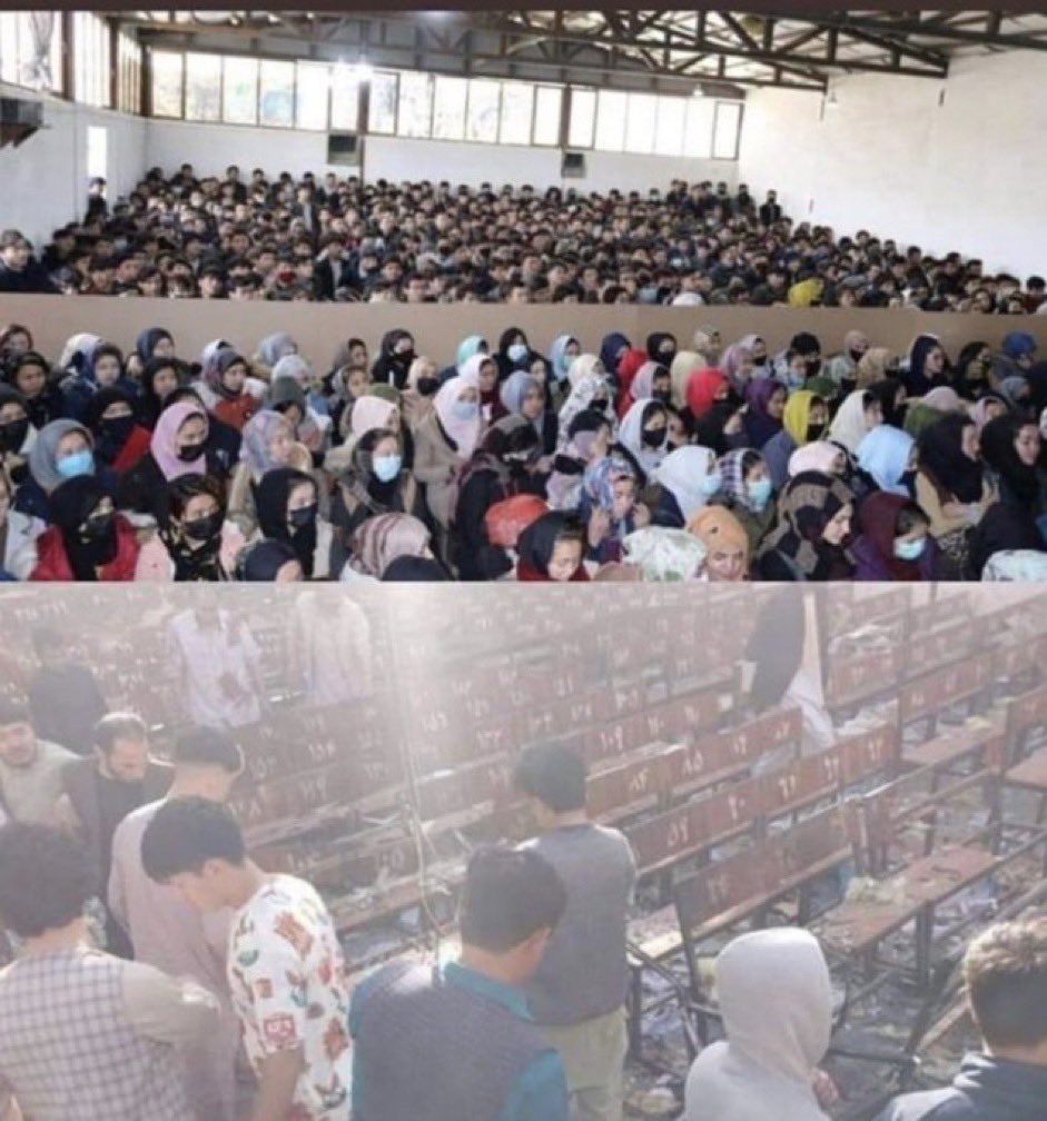 اینجا کاج است.
هر درختی به اندازه شاخه‌های خود ریشه در زمین دارد. کاج نیز به اندازه بلندی خوو ریشه در خاک دارد. ممکن جهنمی‌ها شاخه‌های کاج را بزند، اما ریشه‌ای آنرا نمی‌تواند از بین ببرد.
هر بریش شاخه، سبب اصلاح‌سازی و توانمندی بیشتر درخت خواهد شد.
#StopHazaraGenocide