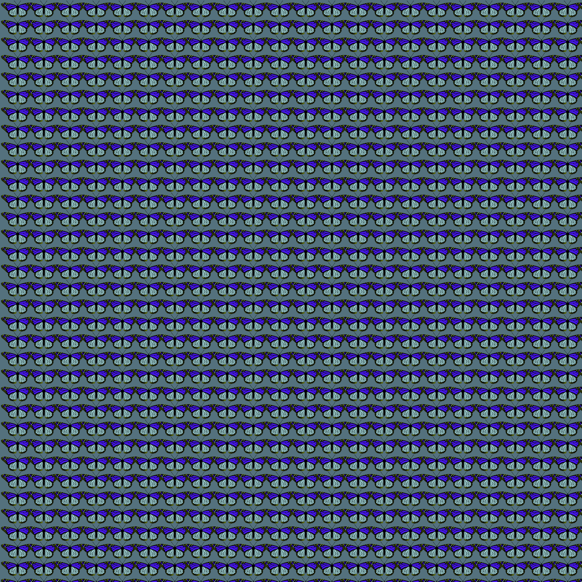JasonGreenstein's tweet photo. Monarchs #p5js #processing #creativecoding https://t.co/S5CQbiNnBf