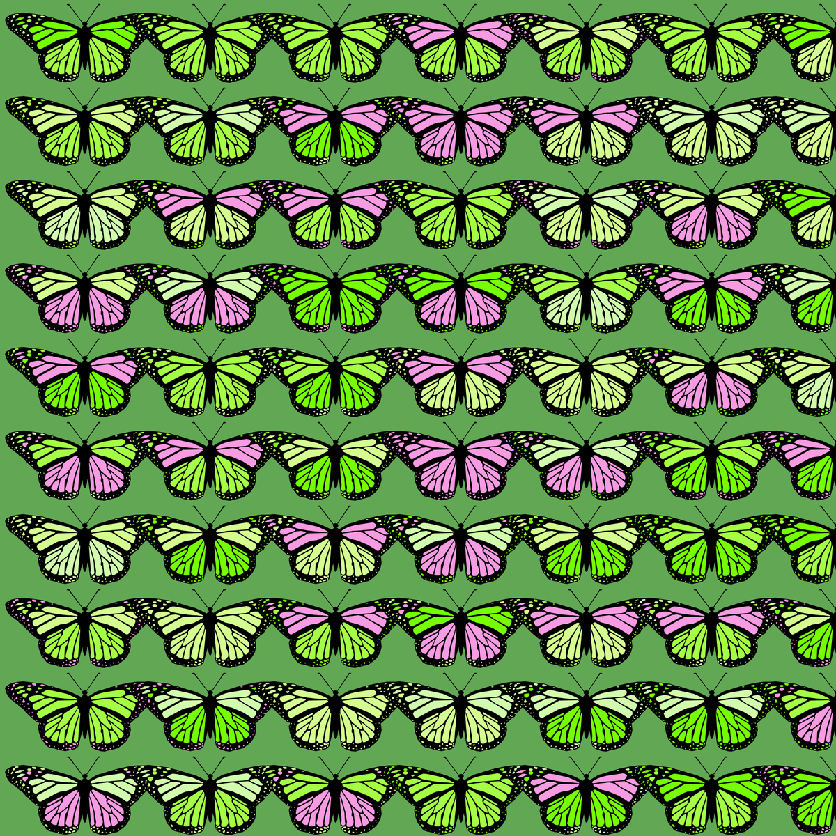 JasonGreenstein's tweet photo. Monarchs #p5js #processing #creativecoding https://t.co/S5CQbiNnBf