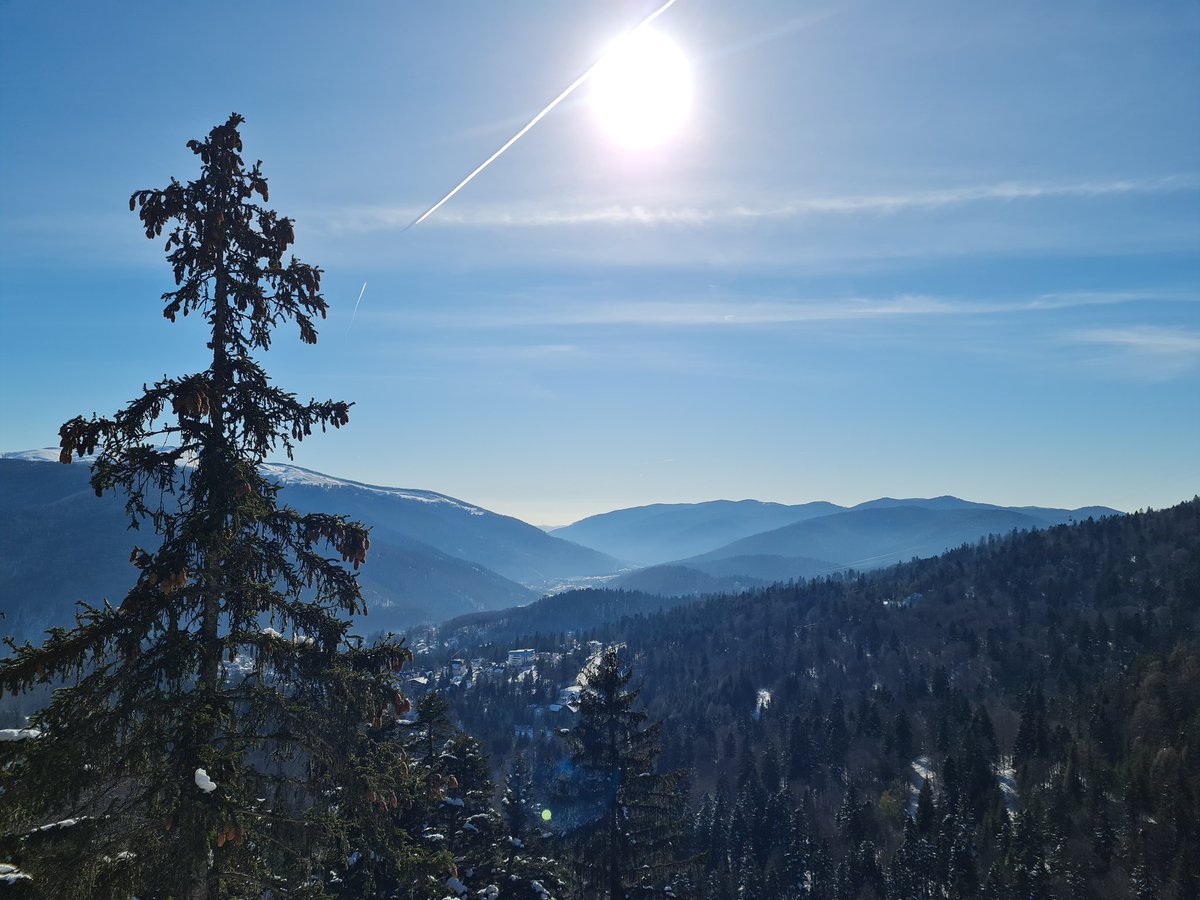 Miss_Sheld's tweet photo. Having a rough week but I'm grateful that I made a group of friends that will force me to get out into nature. I'm looking forward to being forced out on this beautiful mountain trail tomorrow to take a break from work https://t.co/es7KnuqivO