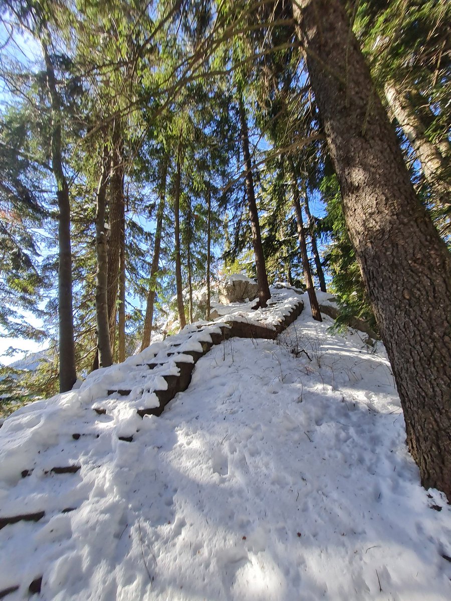 Miss_Sheld's tweet photo. Having a rough week but I'm grateful that I made a group of friends that will force me to get out into nature. I'm looking forward to being forced out on this beautiful mountain trail tomorrow to take a break from work https://t.co/es7KnuqivO
