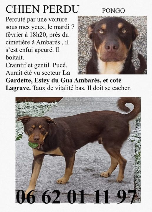 DelavegaPepita's tweet photo. 🚨ALERTE ! SECTEUR #AmbarèsetLagrave #dpt33 #LaGardette #Gironde #NouvelleAquitaine https://t.co/Bki3WzuA99