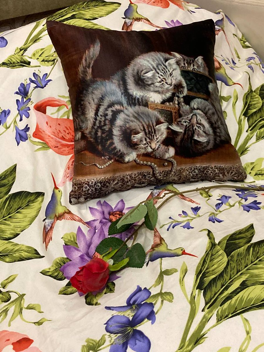 лиза 🔫 пистолетушкина on Twitter: \"Летом купила квартиру в Тбилиси (на ...